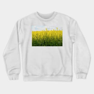 Crops Crewneck Sweatshirt